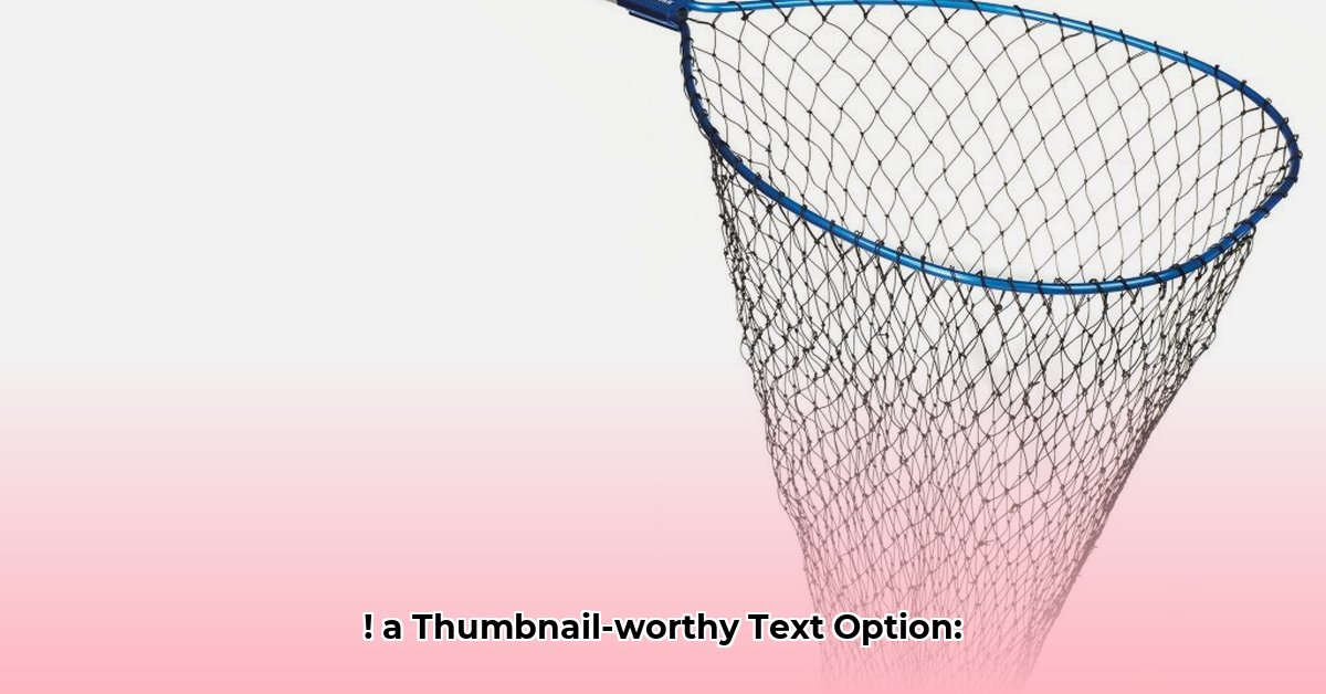 net-worth-of-shatta-wale